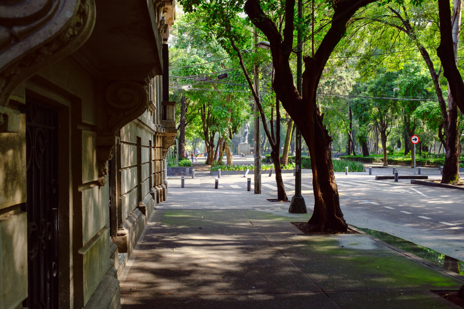 Calle de Roma Norte con jacarandas